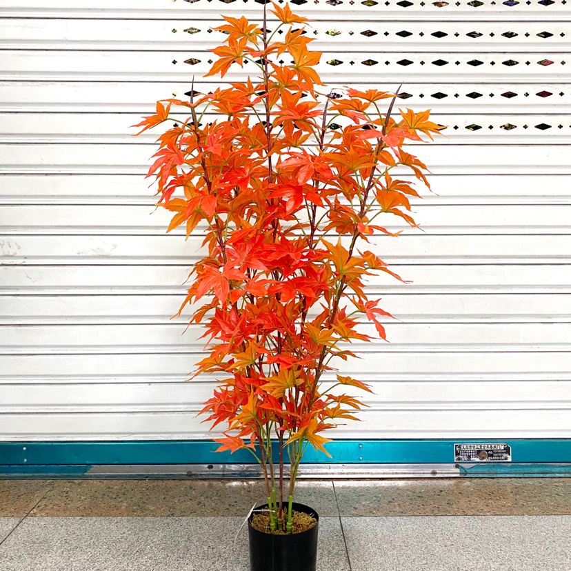 Artificial Flower(图6)